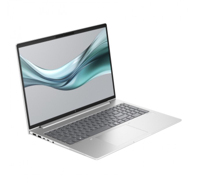 HP Ноутбук HP EliteBook 665 G11 (8Z719AV_V1)