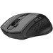 A4Tech Мишка A4Tech Fstyler FG55S Plus Wireless Grey (4711421003421)