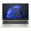 HP Ноутбук HP 245 G10 (A3DU4ES)