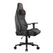 Cougar Крісло для геймерів Cougar Defensor Gray F