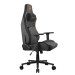 Cougar Крісло для геймерів Cougar Defensor Gray F