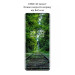 BeCover Скло захисне BeCover EDGE Motorola Edge 60 Fusion Black (714770)