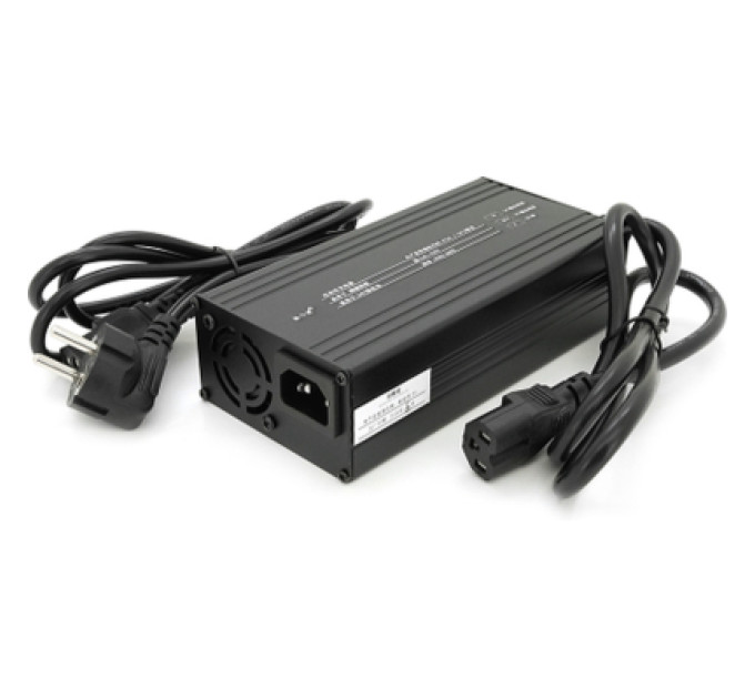 Voltronic Мережевий зарядний пристрій для АКБ Voltronic LiFePO4 24V(29.2V), 8S, 10A (YT-2410-8S-C13)