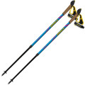 Vipole Палиці для скандинавської ходи Vipole Vario Novice Blue/Violet (S20 34) (DAS303391)
