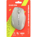 Canyon Мишка Canyon MW-21 Wireless Blue LED Cosmic Latte (CNS-CMSW21CL)