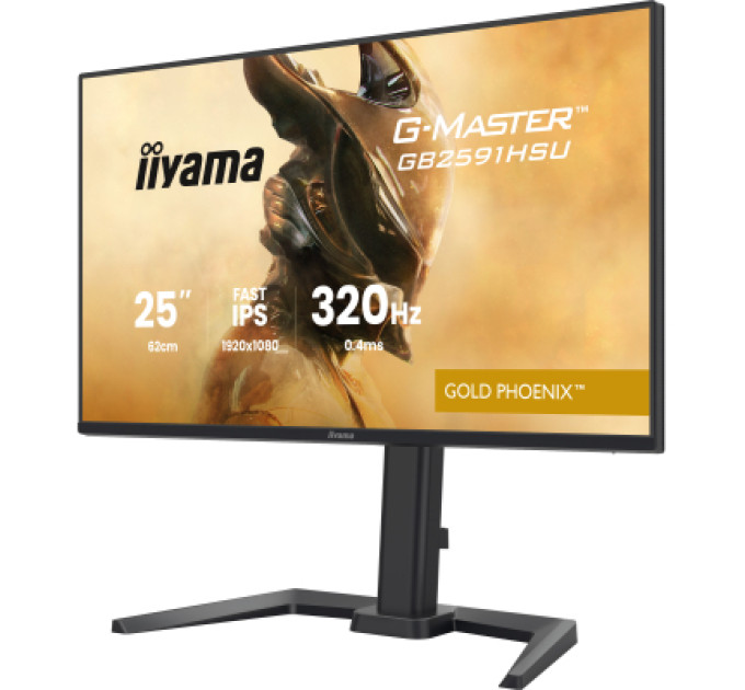 iiyama Монітор iiyama GB2591HSU-B1