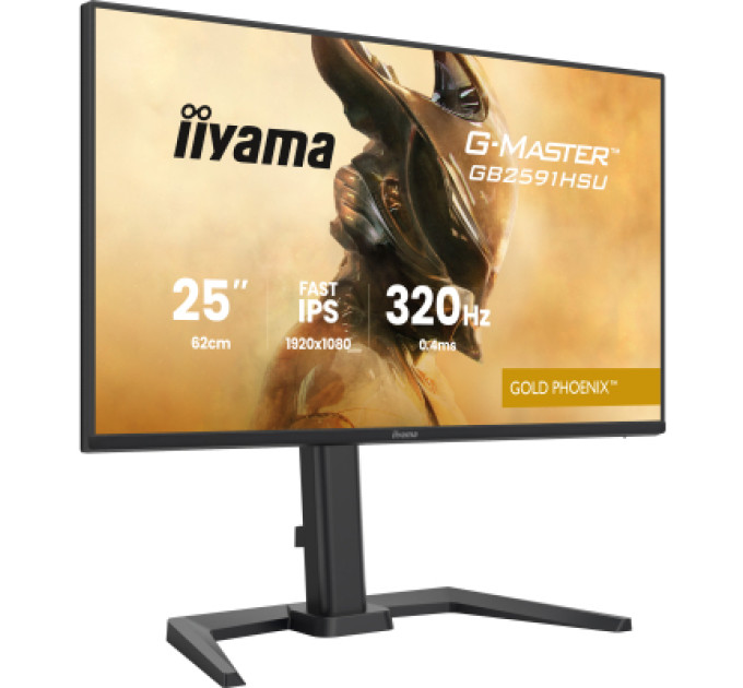 iiyama Монітор iiyama GB2591HSU-B1
