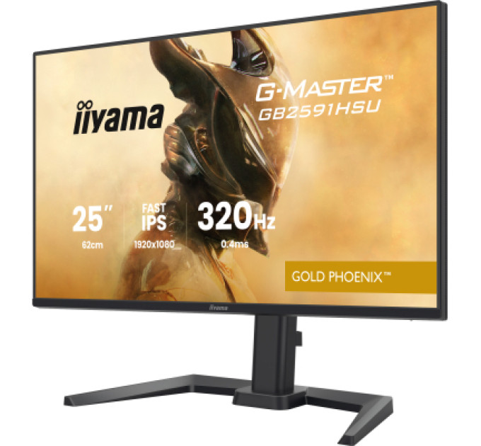 iiyama Монітор iiyama GB2591HSU-B1