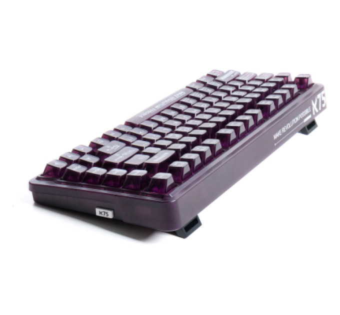 Thunderobot Клавіатура Thunderobot K75 TKL RGB Tri-mode Violet Mist Moon Switch UA Purple (6932066305550)