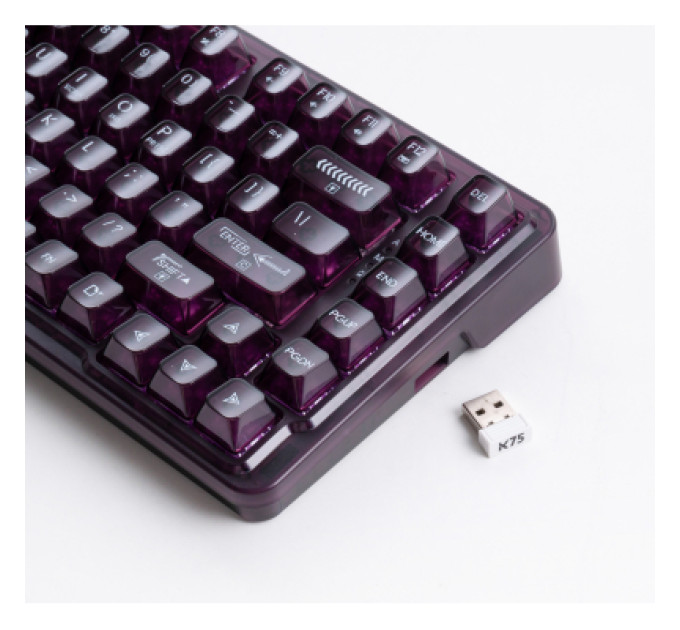 Thunderobot Клавіатура Thunderobot K75 TKL RGB Tri-mode Violet Mist Moon Switch UA Purple (6932066305550)