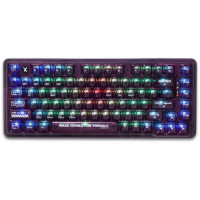 Клавіатура Thunderobot K75 TKL RGB Tri-mode Violet Mist Moon Switch UA Purple (6932066305550)