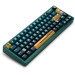 Thunderobot Клавіатура Thunderobot VIC68 TTC Ultra RGB King Magnetic Switch USB UA Parrot Green (6932066320188)