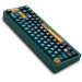 Thunderobot Клавіатура Thunderobot VIC68 TTC Ultra RGB King Magnetic Switch USB UA Parrot Green (6932066320188)