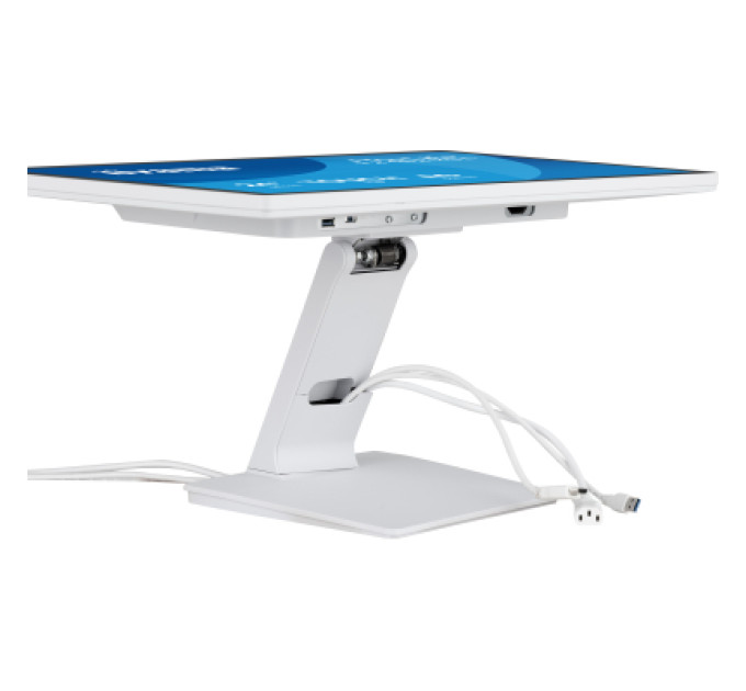 iiyama Монітор iiyama T2452MSC-W2AG