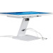 iiyama Монітор iiyama T2452MSC-W2AG