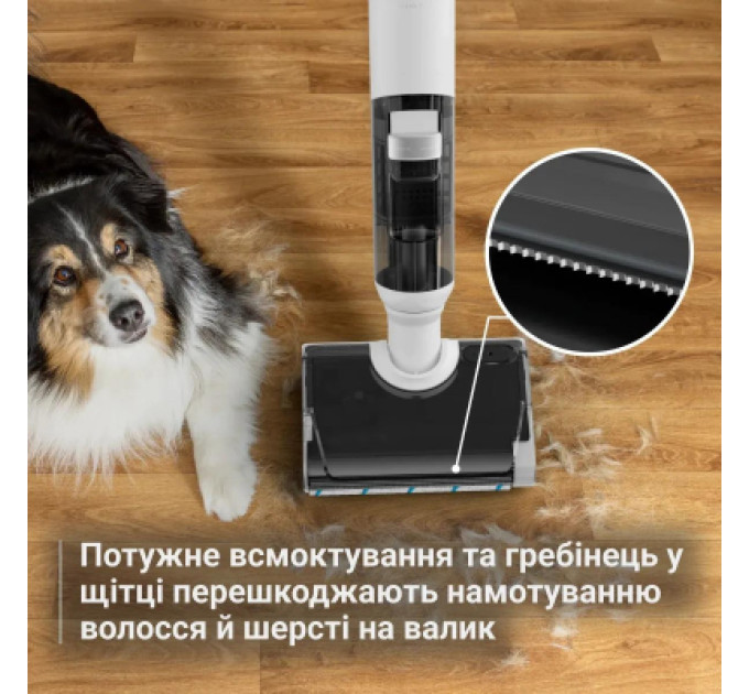 Rowenta Пилосос Rowenta GZ5435E0