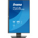 iiyama Монітор iiyama XB2495WSU-B1