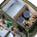 Набір для пікніка Ranger Rhamper Lux (RA9902)