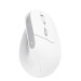 Trust Мишка Trust Bayo II Ergonomic Wireless White (25398)