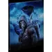 PC Гра PC S.T.A.L.K.E.R. 2 Collector's Edition, код активації (1072011)