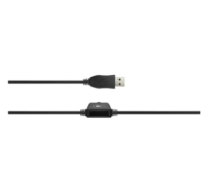 Canyon Навушники Canyon CHSU-1 USB Black (CNS-CHSU1B)