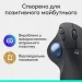 Logitech Мишка Logitech Ergo M575S Wireless Trackball Graphite (910-007029)