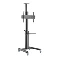 Gembird Підлогова підставка для телевізора Gembird TVS-70T-02
