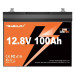 YEAGULCH Батарея LiFePo4 YEAGULCH 12.8V - 100Ah (YEAGULCH-12,8V/100Ah)