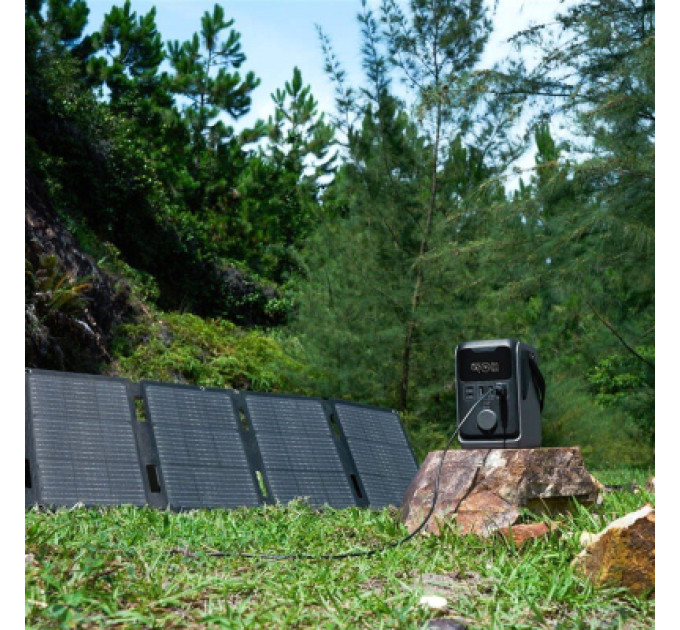EcoFlow Зарядна станція EcoFlow TRAIL 300 DC 300W 288 Wh (EF-TRAIL300-N)