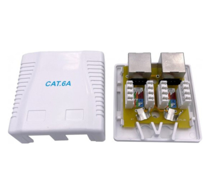 Cablexpert Розетка NCAC-2F6A-01, з мережевим роз'ємамі категорії 6A