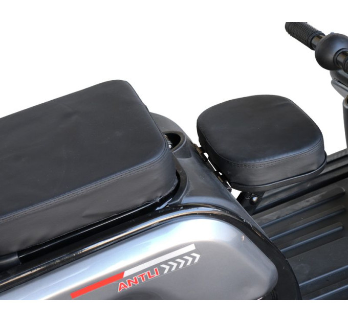 Maxxter Електроскутер Maxxter ANT LI (Gray)