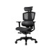 Cougar Крісло ігрове Argo One (Black), колір чорний