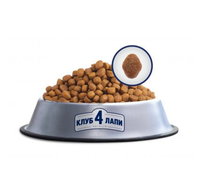 Сухий корм для кішок Club 4 Paws Преміум. Для кішок, які живуть в приміщенні 4 в 1 14 кг (4820083909436)