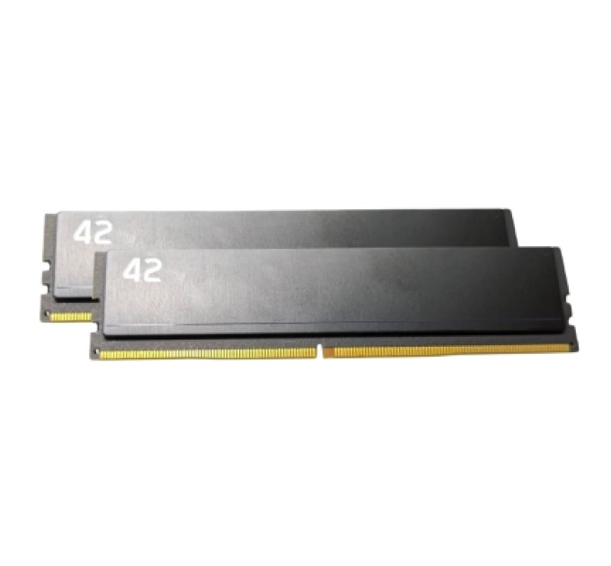 eXceleram Модуль пам'яті для комп'ютера DDR4 32GB (2x16GB) 3200 MHz 42-Series eXceleram (E-42-002D-32)