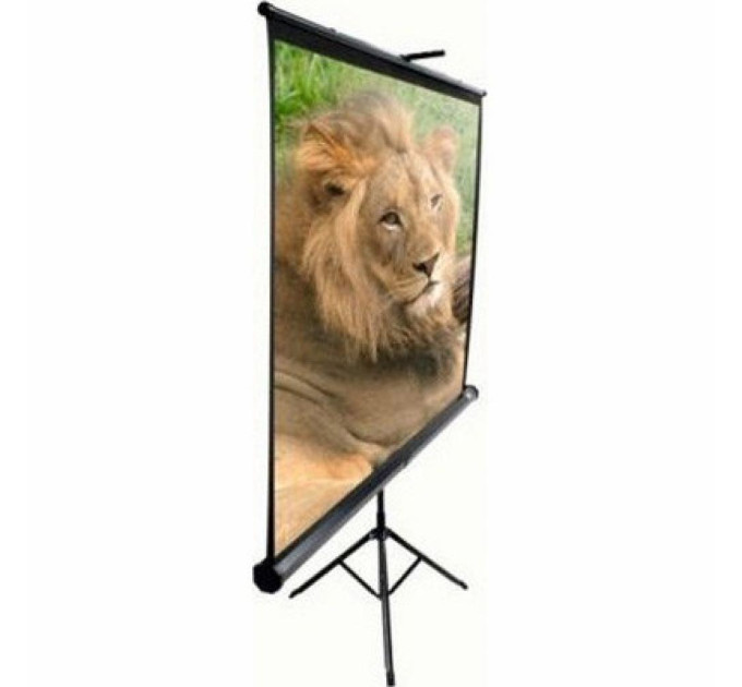 Elite Screens Проекційний екран T120NWV1 Black Cas Elite Screens (T120NWV1)