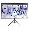 Elite Screens Проекційний екран T120UWV1 Black Cas Elite Screens (T120UWV1)
