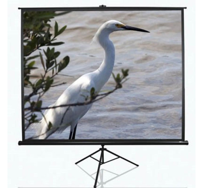 Elite Screens Проекційний екран T84UWV1 Elite Screens