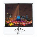 Elite Screens Проекційний екран T100UWH Elite Screens