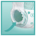 Pampers Підгузки Pampers трусики Pants Junior Розмір 5 (12-17 кг), 48 шт (4015400672906)