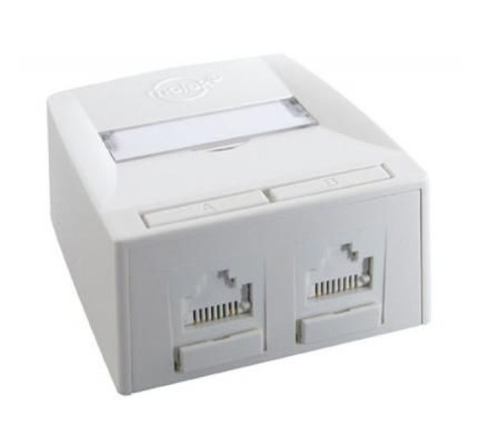 Molex Комп'ютерна розетка RJ45x2 UTP cat.6 568A/B UTP Synergy DG+ Molex (SSY-00007-02)