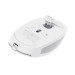 Trust Мишка Trust Ozza compact Bluetooth/Wireless/USB-A White (24933)