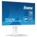 iiyama Монітор iiyama XUB2492HSU-W6