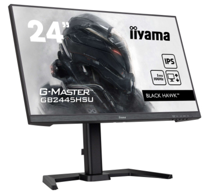iiyama Монітор iiyama GB2445HSU-B2
