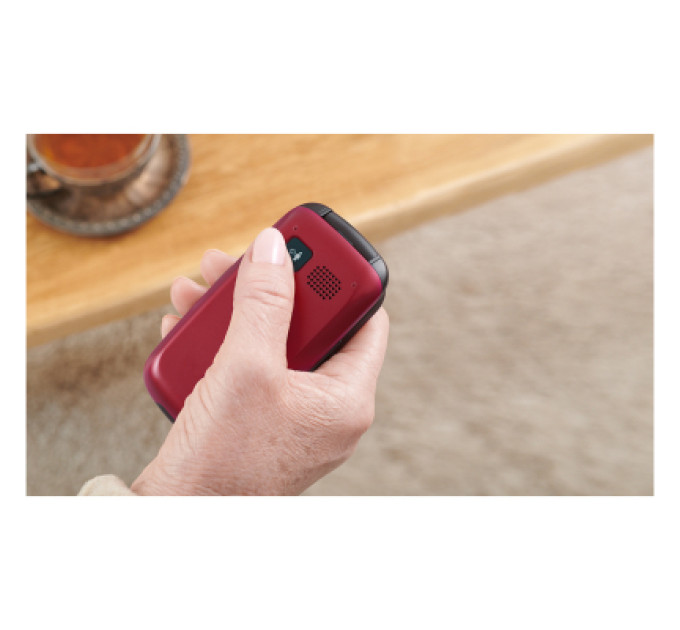 Panasonic Мобільний телефон Panasonic KX-TU446 Red (KX-TU446EXR)