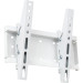 Charmount Кронштейн Charmount TV02T White