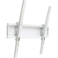 Charmount Кронштейн Charmount TV04T White