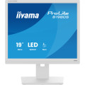 iiyama Монітор iiyama B1980S-W1