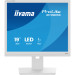 iiyama Монітор iiyama B1980S-W1