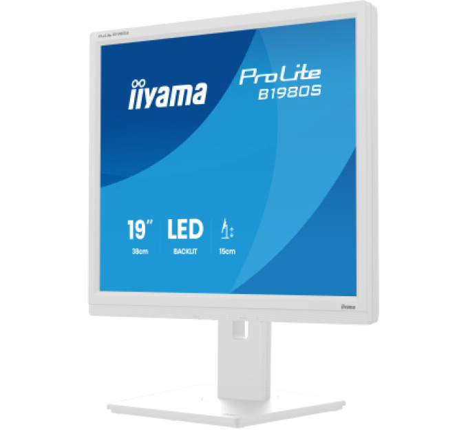 iiyama Монітор iiyama B1980S-W1