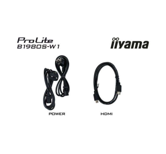 iiyama Монітор iiyama B1980S-W1